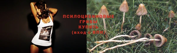 гидропоника Аркадак