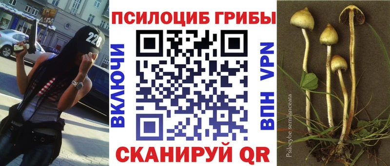 купить наркотик  Оханск  Псилоцибиновые грибы ЛСД 